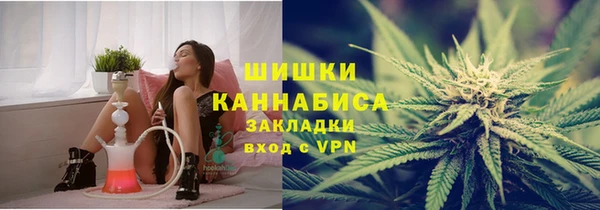 индика Бугульма