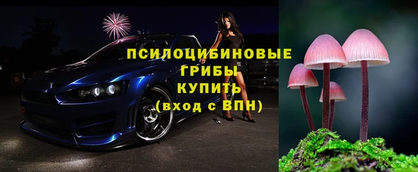 индика Бугульма