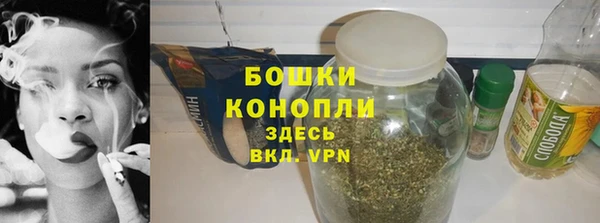 индика Бугульма