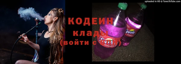 индика Бугульма