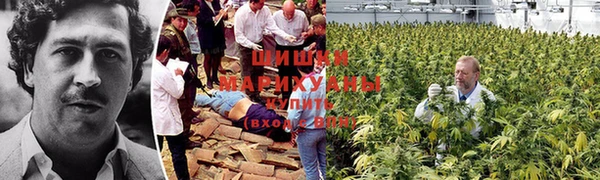 прущая мука Бородино