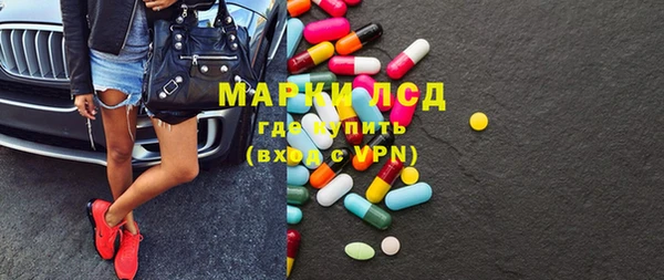 индика Бугульма