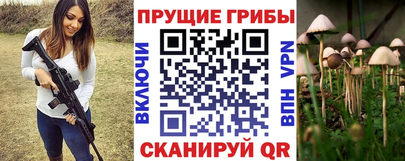 наркота  Петрозаводск  Псилоцибиновые грибы мухоморы 