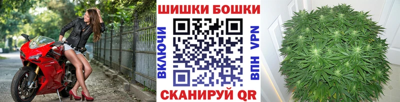 Конопля план  Петрозаводск 